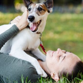  Impacto dos Pets na Saúde Mental: ONGs de Adoção em Osasco